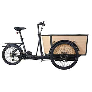 DAHON's First Electric Cargo Bike Unveiled at E-Bike Xperience