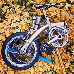 Riding Pics and Tips from Fall Adventures