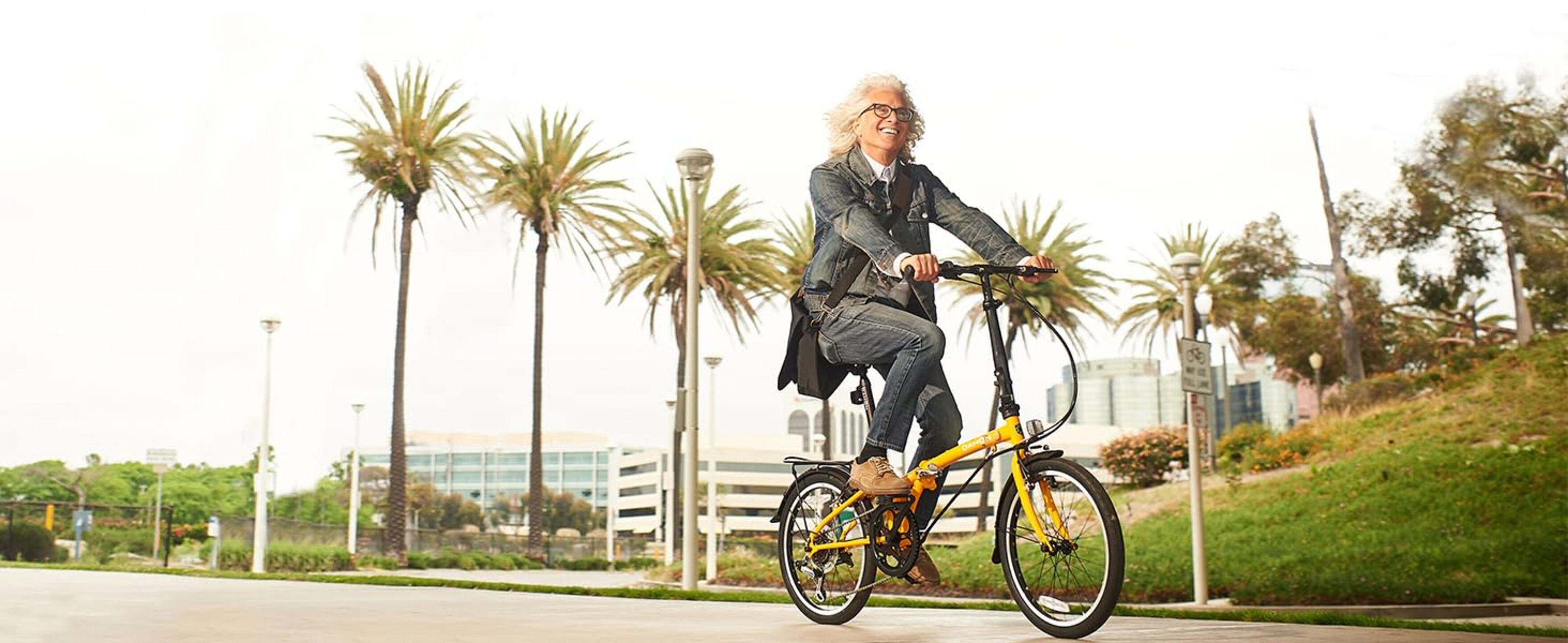 ダホン　suv d6 Dahon SUV D6