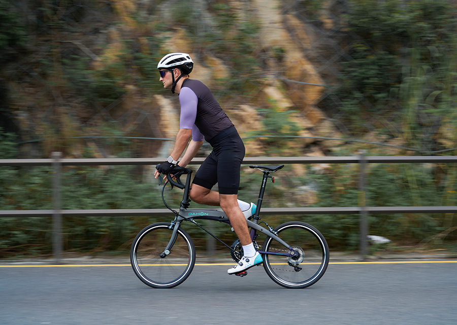 Vigor LT – DAHON BIKE