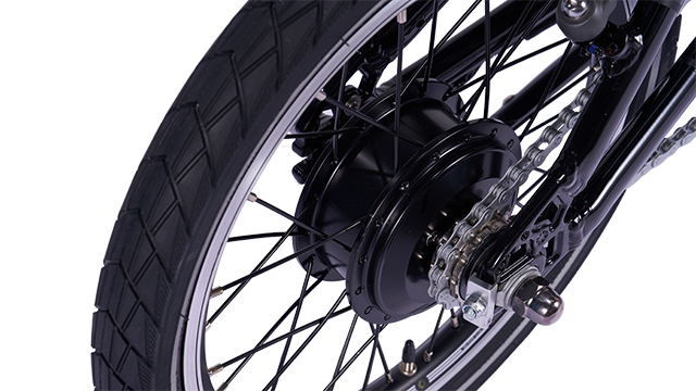 Rear Hub Motor